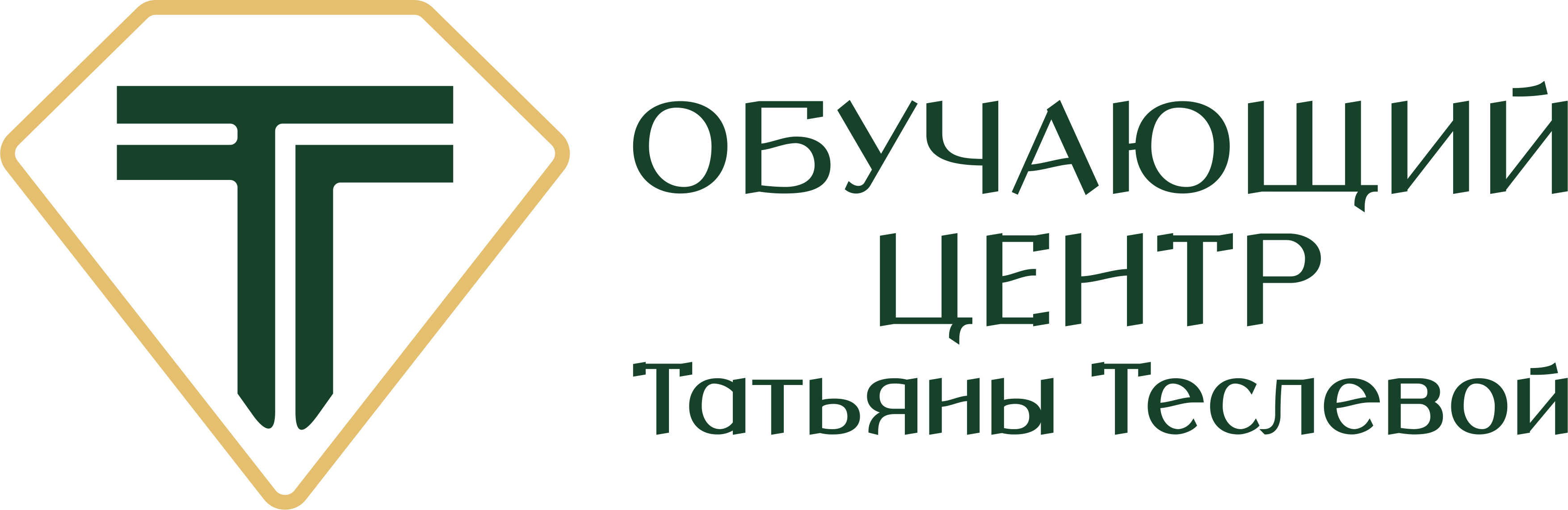 Обучающий центр Татьяны Теслевой